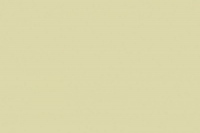 Wasabi